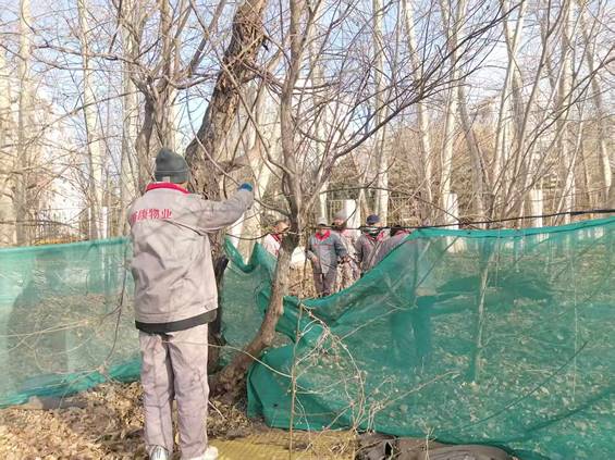 说明: C:\Users\linpeng\xwechat_files\wxid_f51mpcd31qv221_04d6\temp\RWTemp\2026-01\301990cf4f0c585a3a95e3741e1acada\e3cb3ff6a9e97d7e982e199362b26597.jpg