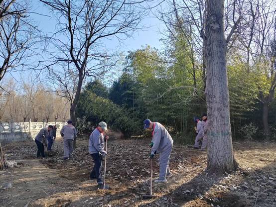 说明: C:\Users\linpeng\xwechat_files\wxid_f51mpcd31qv221_04d6\temp\RWTemp\2026-03\301990cf4f0c585a3a95e3741e1acada\783b61094781f5cc916a571f59ba4613.jpg