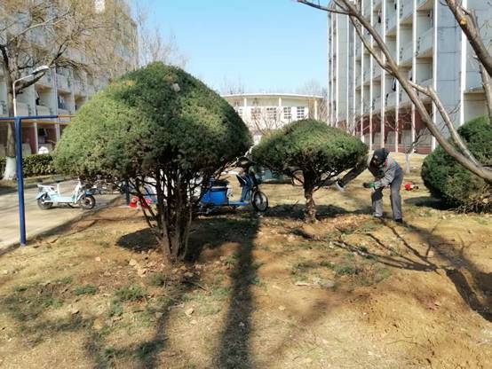 说明: C:\Users\linpeng\xwechat_files\wxid_f51mpcd31qv221_04d6\temp\RWTemp\2026-03\301990cf4f0c585a3a95e3741e1acada\4eb98803d938d944026f5c0d5d0ea231.jpg