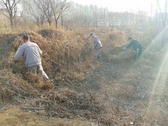 说明: C:\Users\linpeng\xwechat_files\wxid_f51mpcd31qv221_04d6\temp\RWTemp\2026-01\c49804f98f46c98270569353a907c2ac.jpg