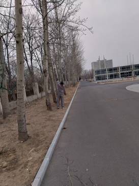 说明: C:\Users\linpeng\xwechat_files\wxid_f51mpcd31qv221_04d6\temp\RWTemp\2026-03\9e20f478899dc29eb19741386f9343c8\aab7575d41f3d69bc2caf4f512850e0c.jpg